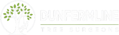 Dunfermline Tree Surgeons